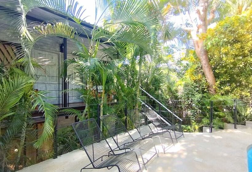 Raratonga Hotel &  Apartments