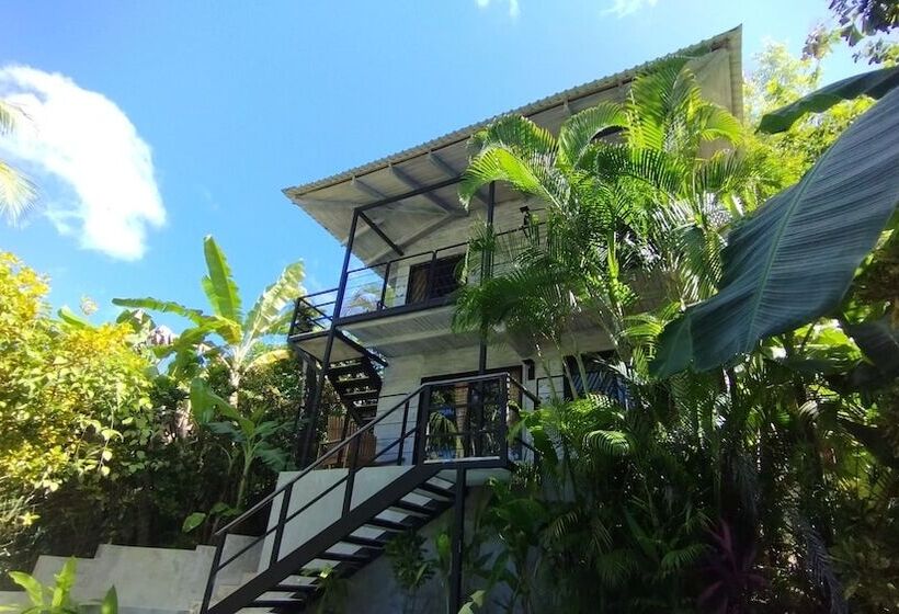 Raratonga Hotel &  Apartments