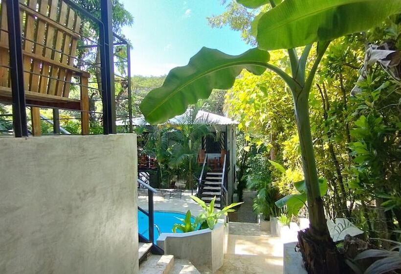 Raratonga Hotel &  Apartments