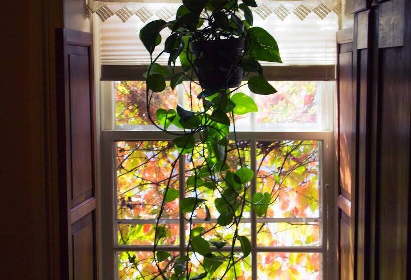 The Stagecoach Inn Bed & Breakfast And Five20 Social Stop