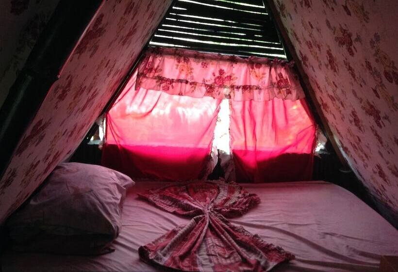 Treasure Isle Guesthouse   Hostel