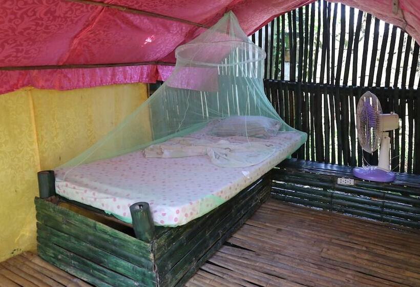 Treasure Isle Guesthouse   Hostel