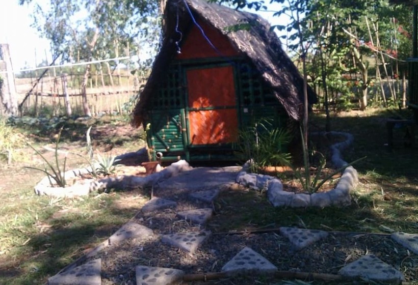 Treasure Isle Guesthouse   Hostel