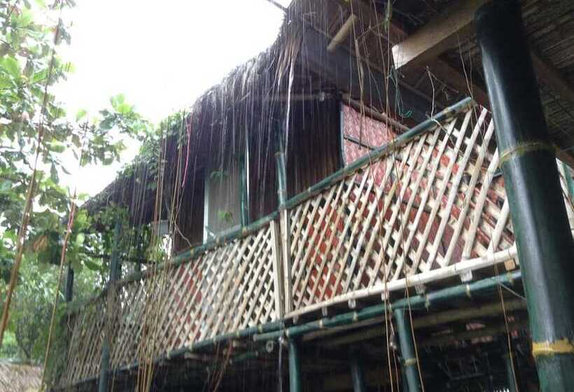 Treasure Isle Guesthouse   Hostel