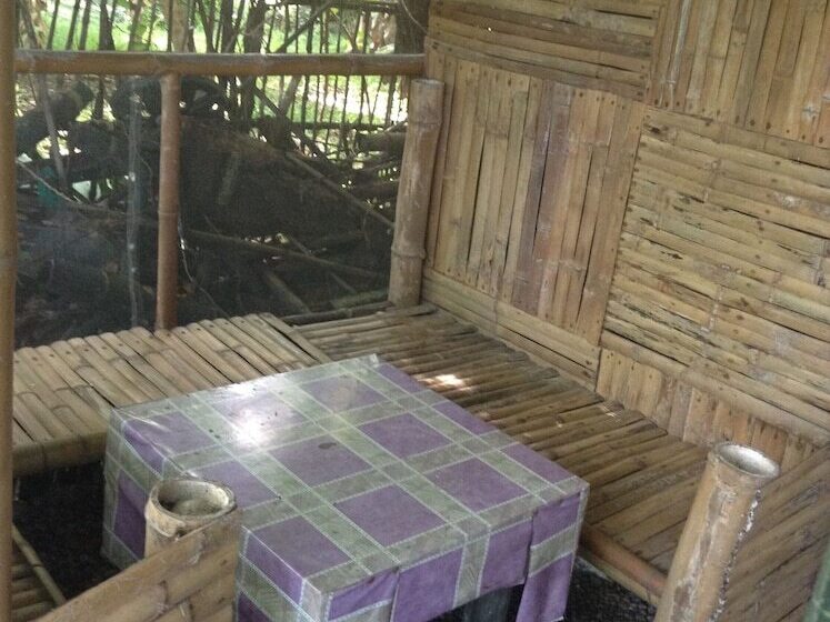 Treasure Isle Guesthouse   Hostel