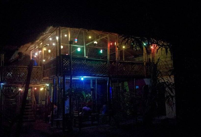 Treasure Isle Guesthouse   Hostel