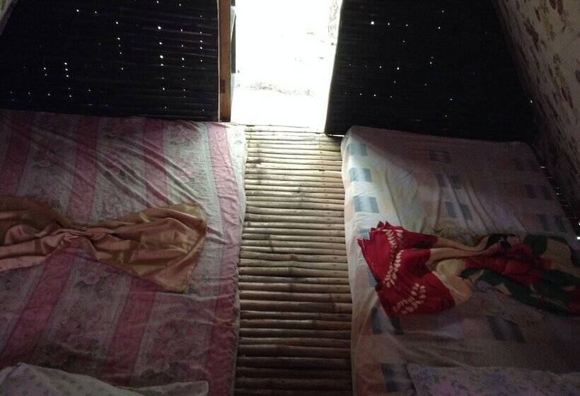 Treasure Isle Guesthouse   Hostel