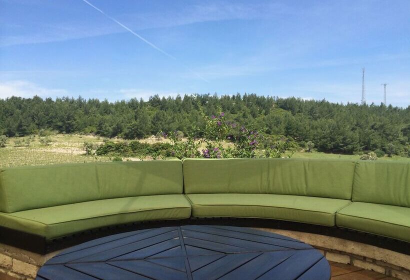 Urla Bagevi Boutique Hotel   Special Class