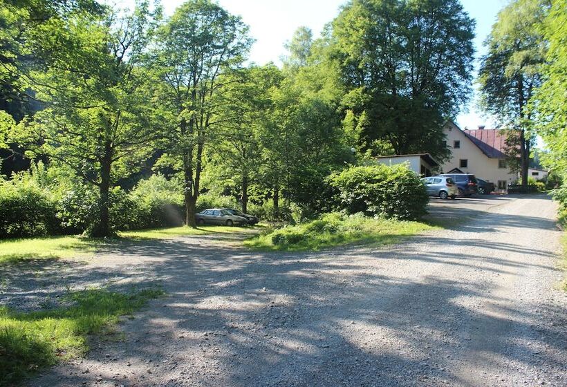 Waldpension Pfeiferhaus