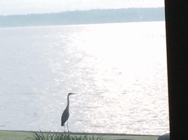 Waters Edge B&b Resort