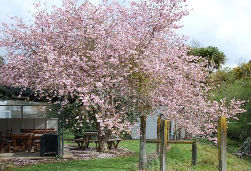 旅馆 Egmont Eco Leisure Park & Backpackers