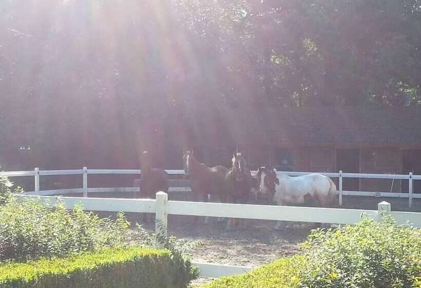 B&b De Poppelse Hoeve