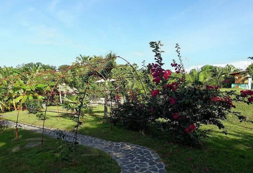 مبيت وإفطار Cabanas Los Colibris