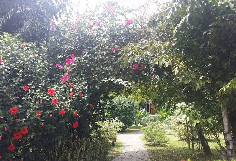 مبيت وإفطار Cabanas Los Colibris