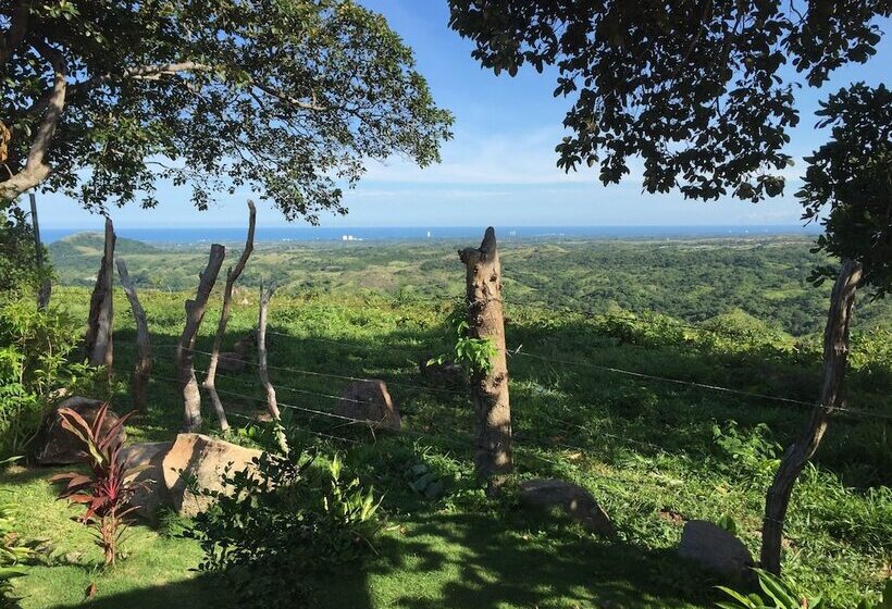 ベッドアンドブレックファースト Dlaaya Luxury Villas