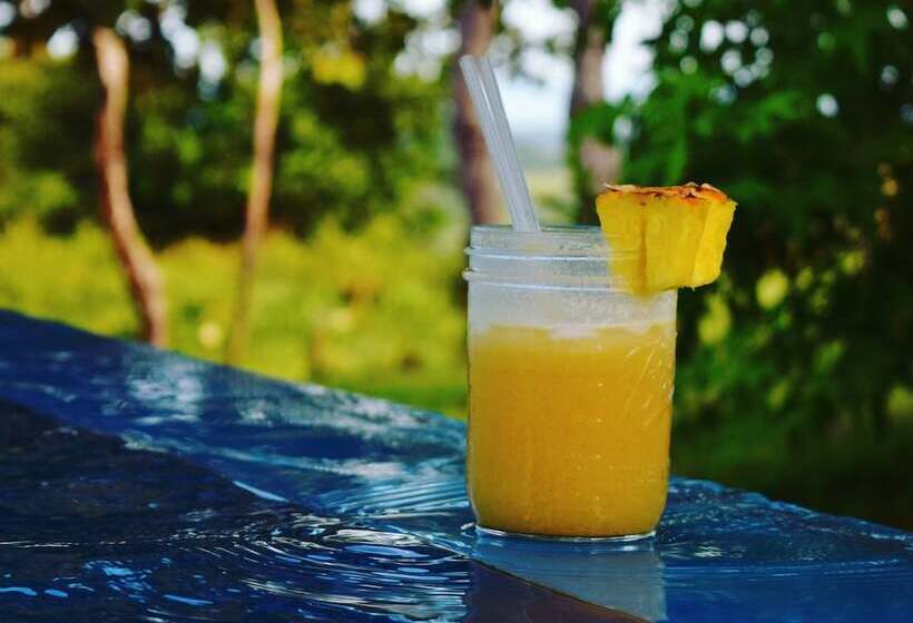 ベッドアンドブレックファースト Dlaaya Luxury Villas