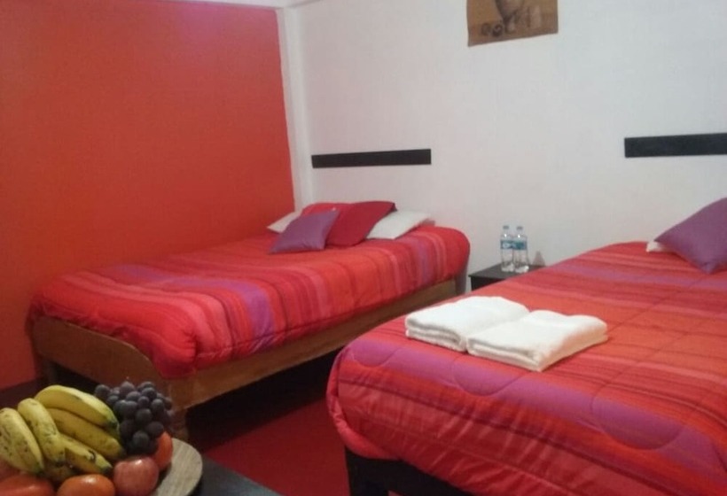 住宿加早餐  Don Andre