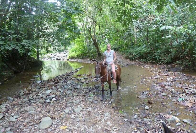 Bed and Breakfast Finca El Regalo