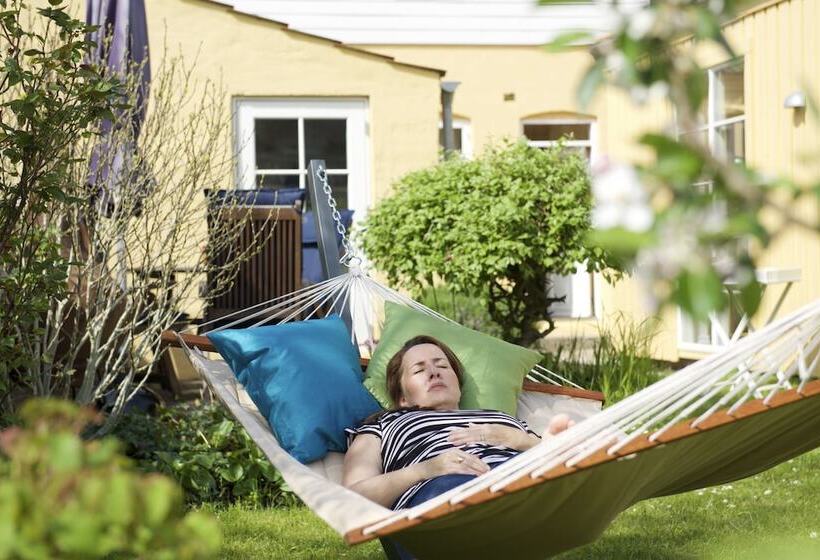 مبيت وإفطار Lotus Bb & Spa   Indre Ro Yoga