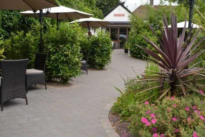 Bed and Breakfast The Greyhound Winterborne Kingston