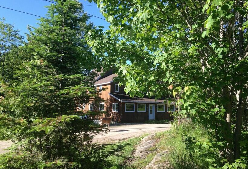 Warbler S Roost Country Inn B&b