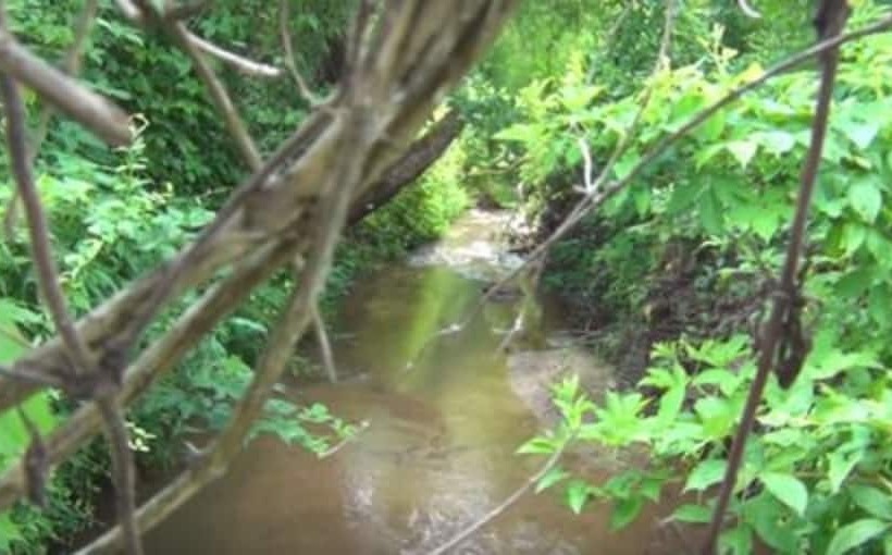 Belle Meade Bed And Breakfast