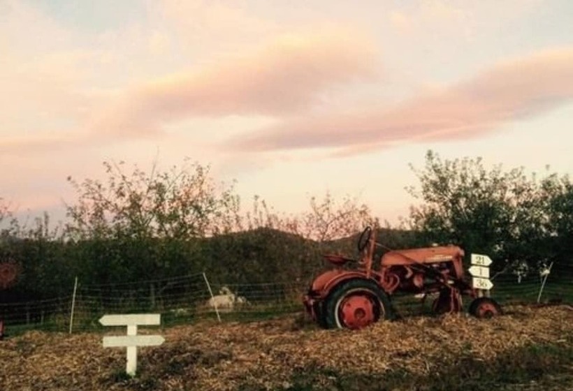 Belle Meade Bed And Breakfast