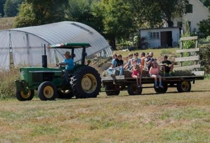 Belle Meade Bed And Breakfast
