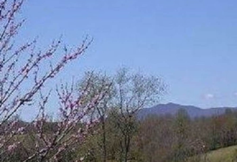 Belle Meade Bed And Breakfast