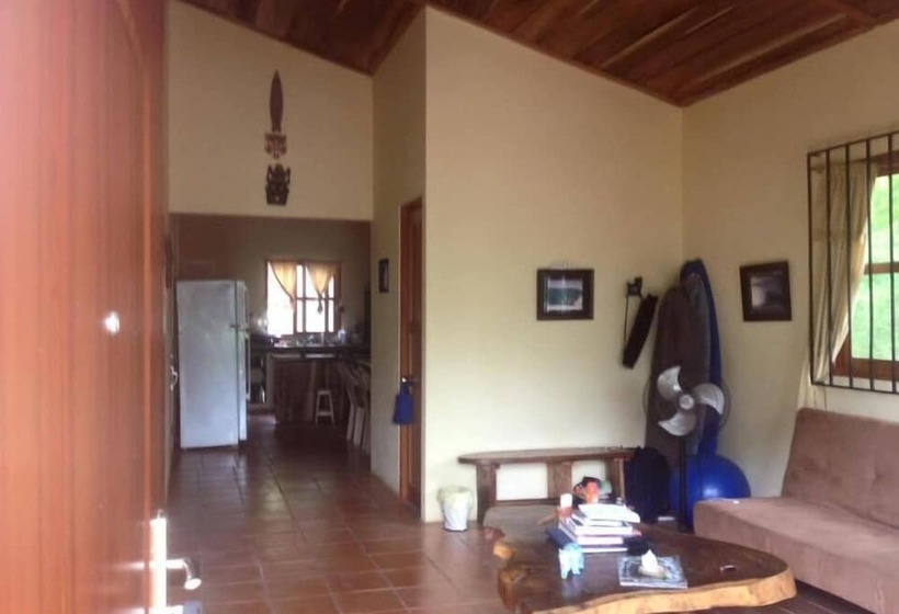 Big Kahuna Surf Camp Hostel