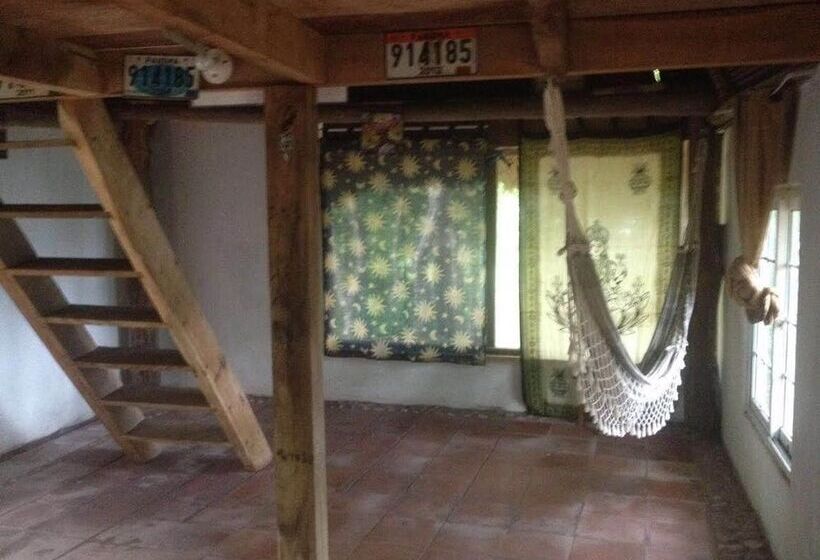 Big Kahuna Surf Camp   Hostel