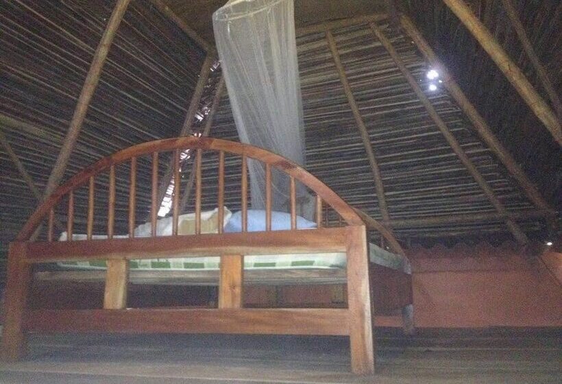 Big Kahuna Surf Camp Hostel