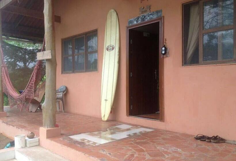 Big Kahuna Surf Camp   Hostel