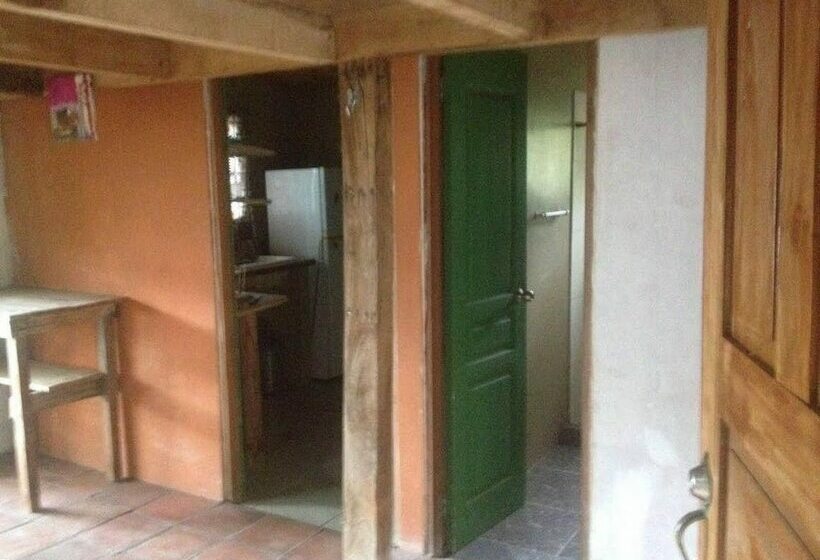 Big Kahuna Surf Camp Hostel