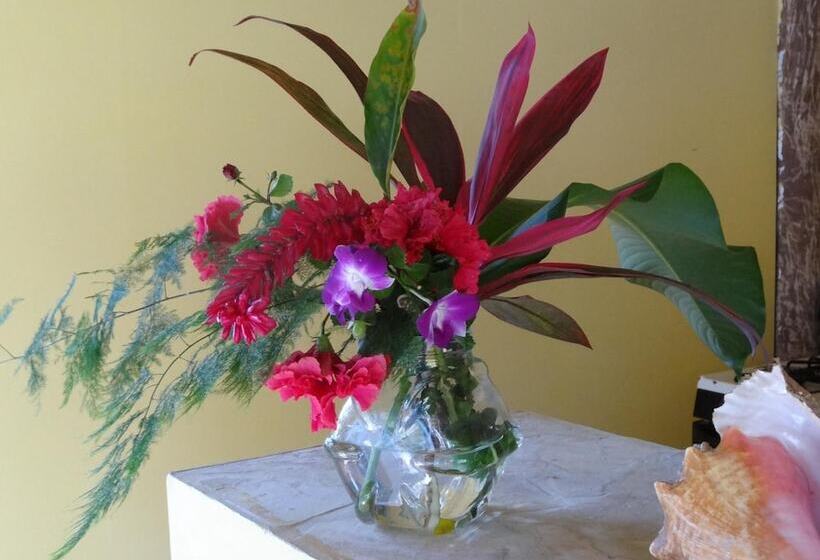 Bungalow Natura Village