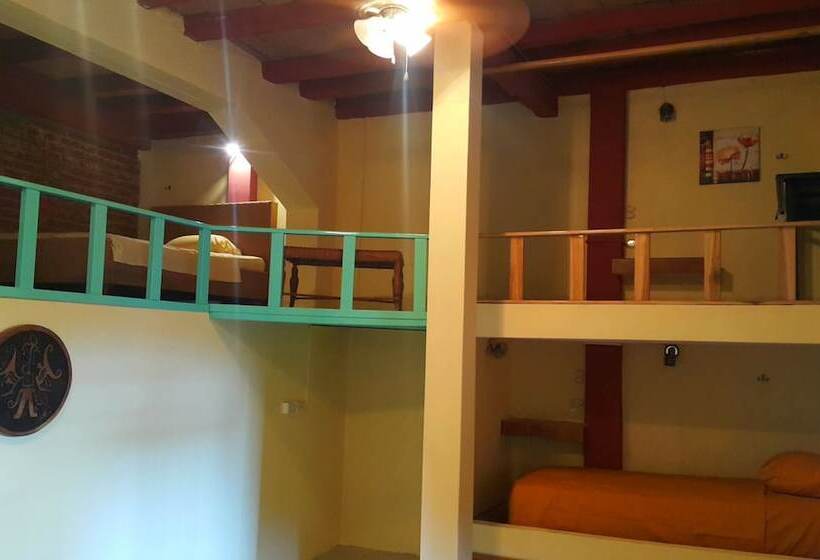 Coco Bongo Hostel