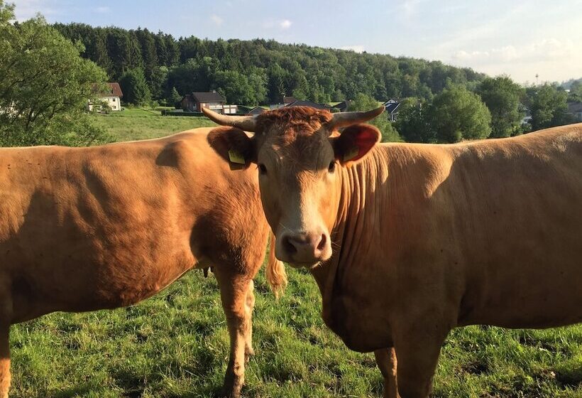 Eifeltraum Magma Enjoy The Silence