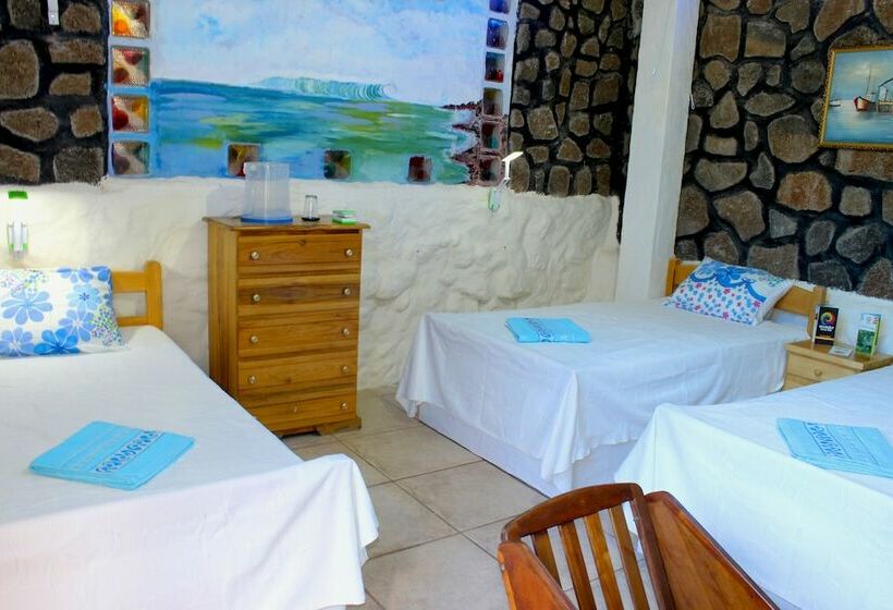 Galapagos Penguin Hostel