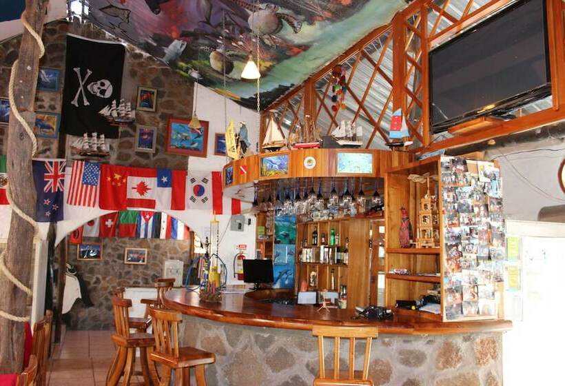 Galapagos Penguin Hostel