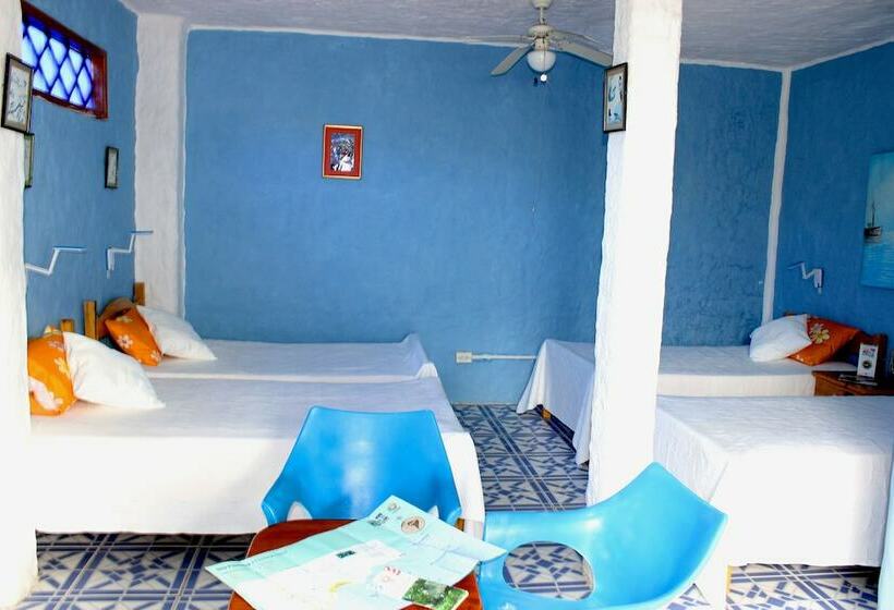 Galapagos Penguin Hostel