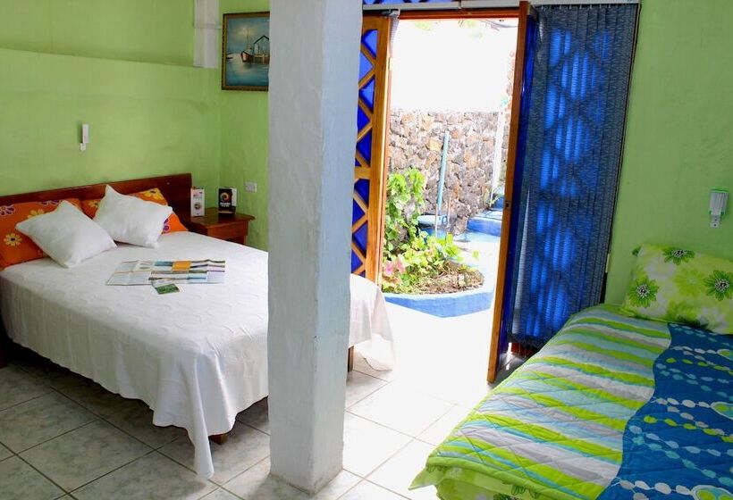 Galapagos Penguin Hostel