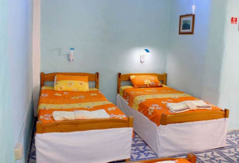 Galapagos Penguin Hostel