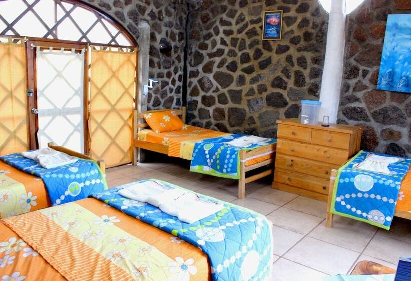 Galapagos Penguin Hostel