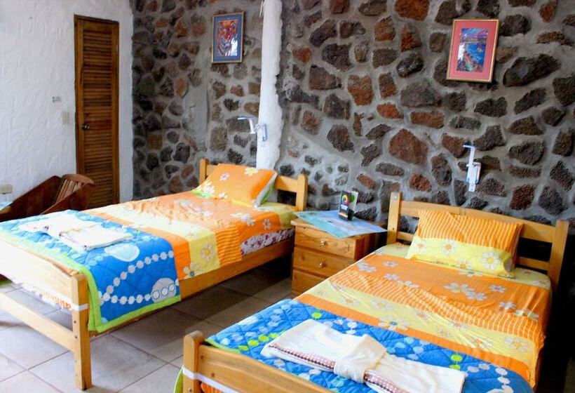 Galapagos Penguin Hostel