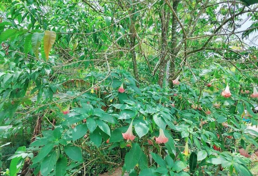 فندق فئة نجمة واحدة Essence Arenal Spa & Yoga