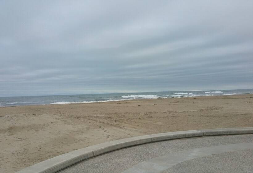 酒店 12 Ashworth Ave