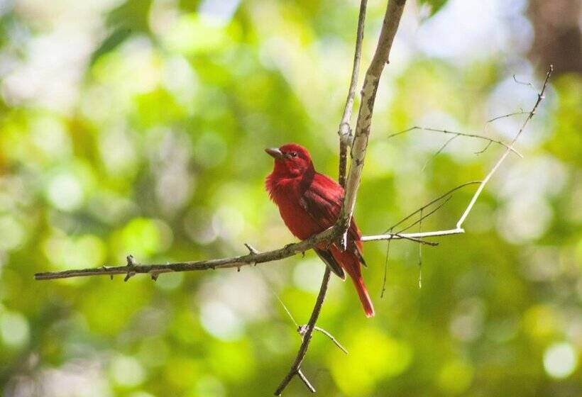 فندق Bar'coquebrado Camping