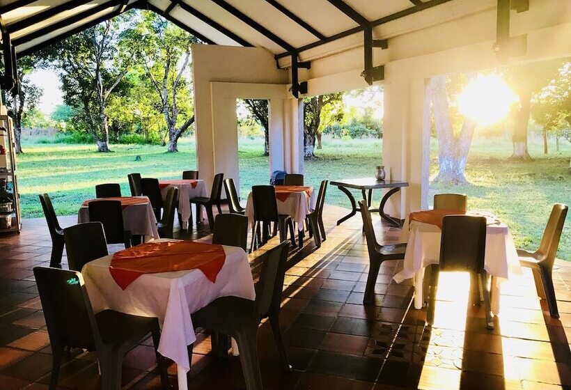 酒店 Campestre San Manuel