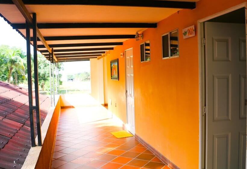 酒店 Campestre San Manuel