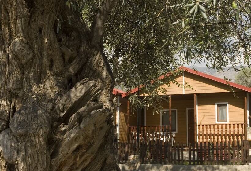 호텔 Camping Orgiva